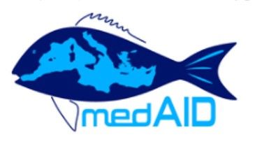 Proyecto MedAID